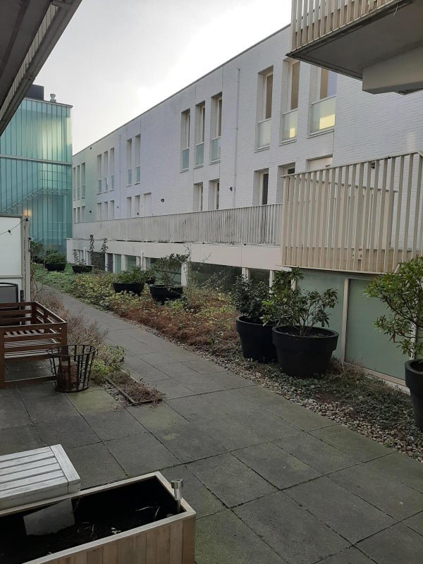 For rent: Flat Drossestraat 64 in Haarlem