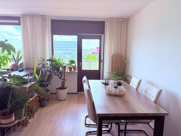 For rent: Flat Spaarndamseweg 380 0021 in Haarlem