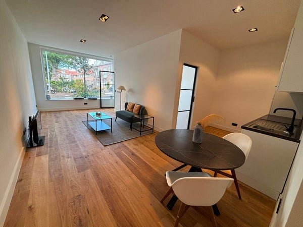 For rent: Flat Brouwersplein 6 in Haarlem