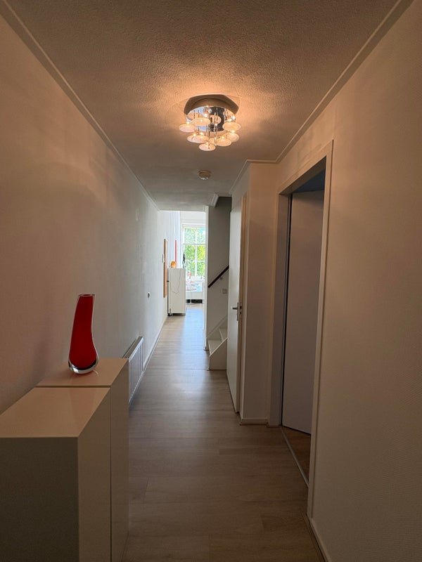 For rent: Flat Rijfelstraat in Goes