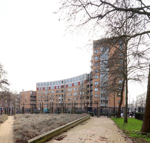 For rent: Flat Henriëtte Roland Holststraat 142 in Utrecht