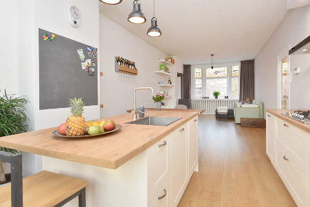 For rent: Flat Pahudstraat in Den Haag