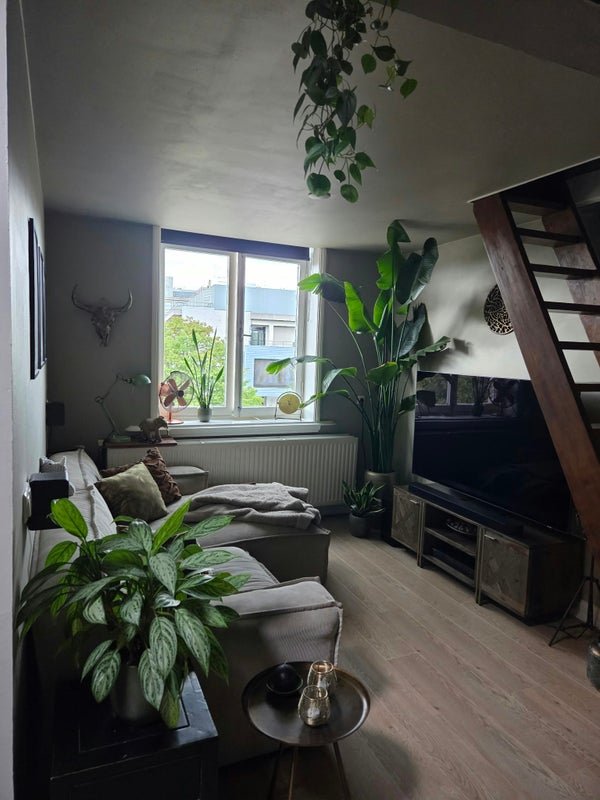 For rent: Flat Bogardeind in Geldrop