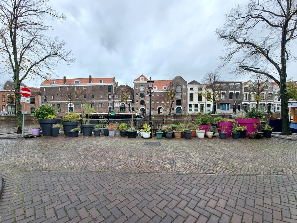 For rent: Flat Westvest in Schiedam