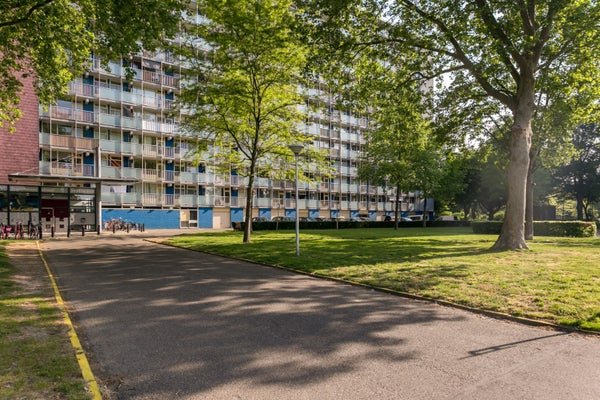 For rent: Flat Eisenhowerstraat in Sittard