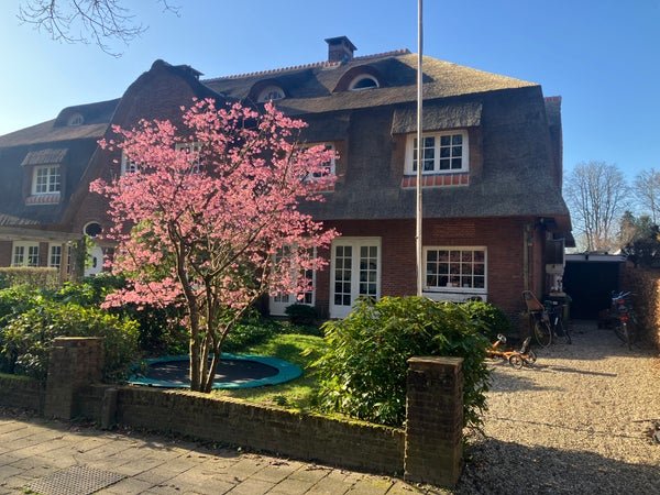For rent: House Diederichslaan 47 in Driebergen-Rijsenburg
