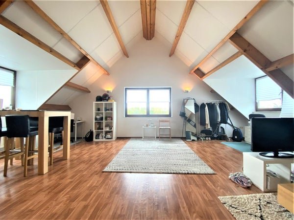 For rent: Flat Ireneweg in Maastricht