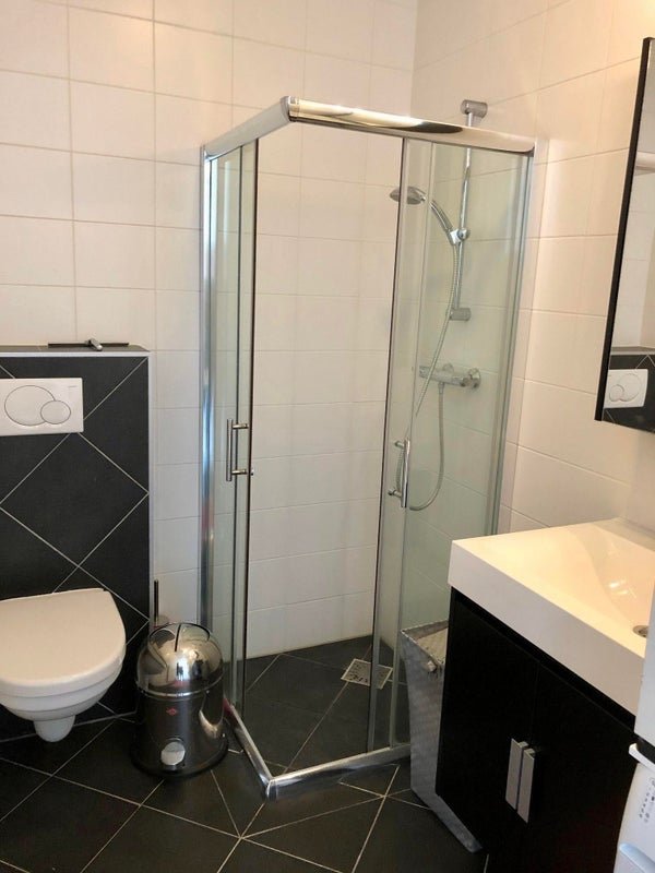 For rent: Flat Kameleonstraat in Soest