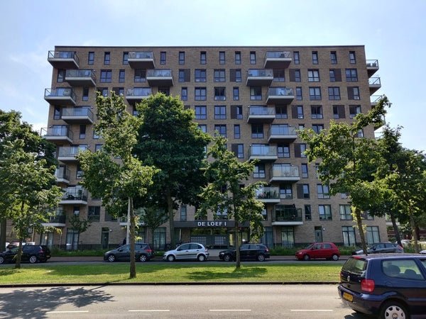 For rent: Flat Loevesteinlaan 383 B in Den Haag