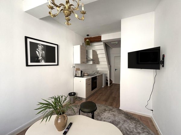For rent: Flat Platielstraat in Maastricht