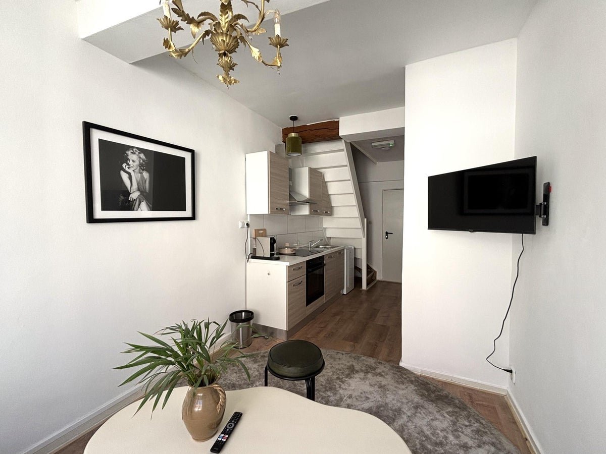 For rent: Flat Platielstraat in Maastricht