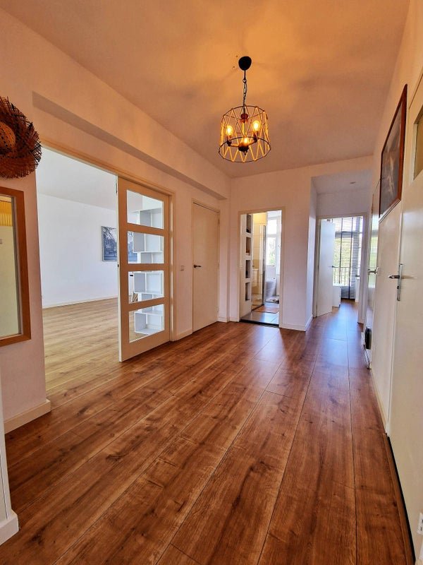 For rent: Flat Louis Davidsstraat in Den Haag