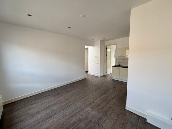 For rent: Flat Van Speijkstraat 106 3 in Amsterdam