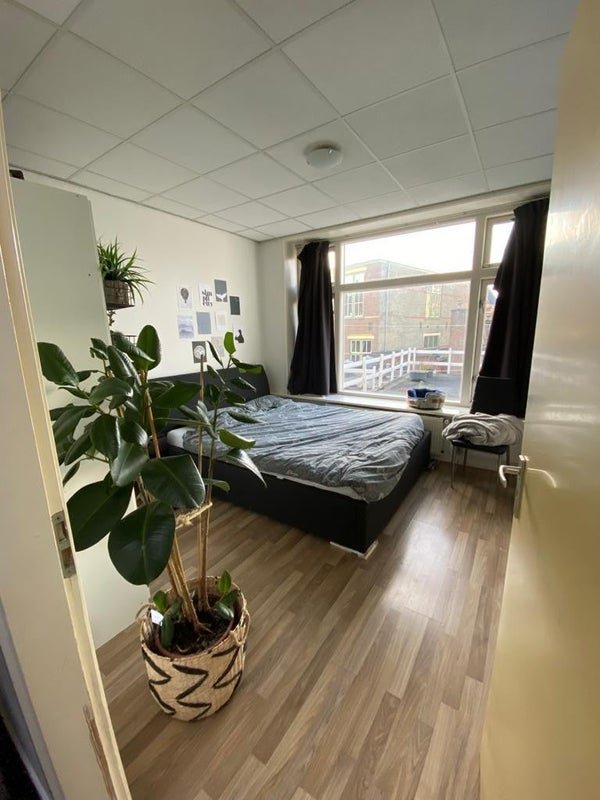 For rent: Flat Tweebaksmarkt 38 a in Leeuwarden