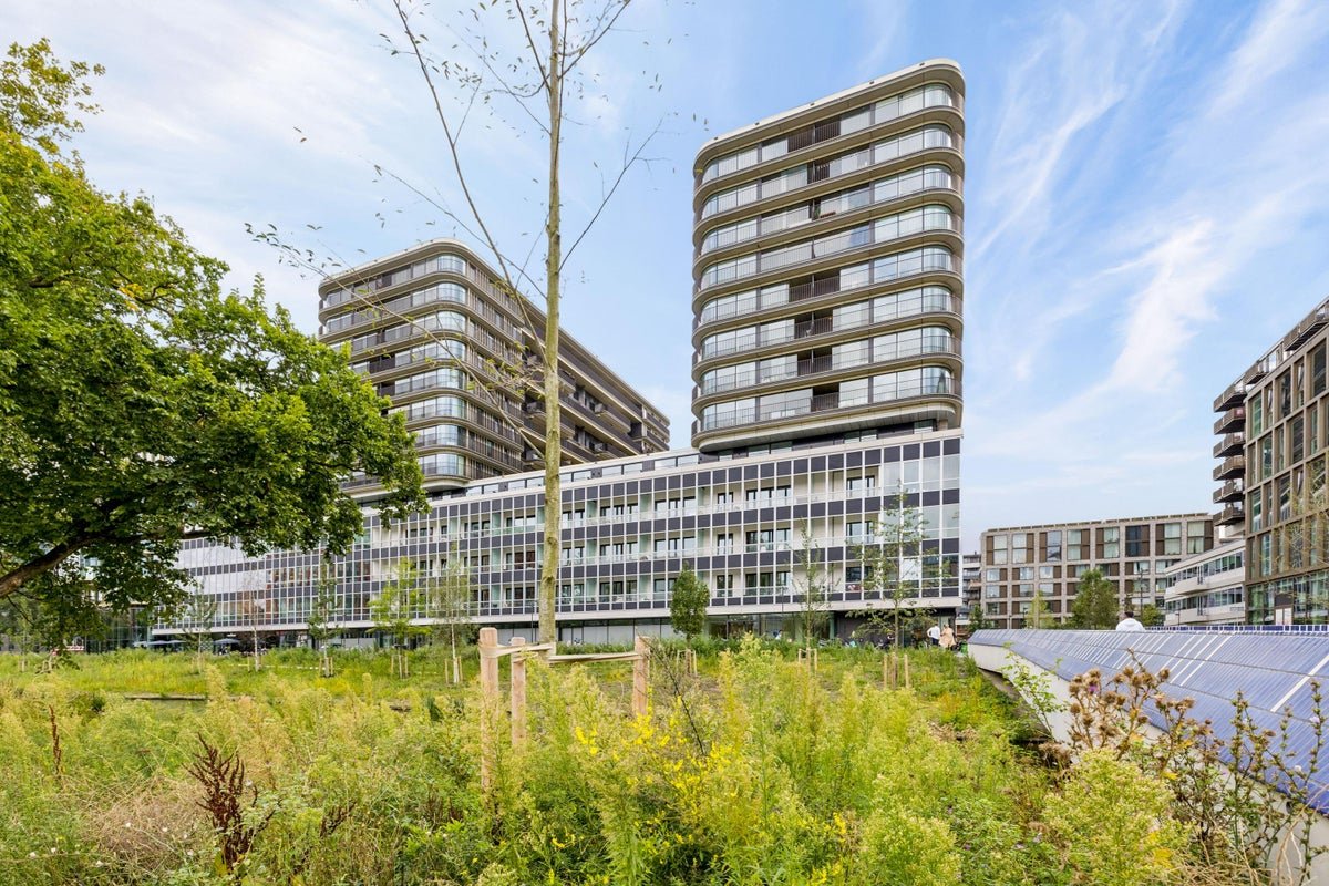 For rent: Flat Elizabeth Anscombestraat 557 in Amsterdam