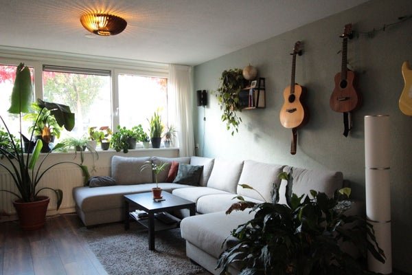 For rent: Flat Slachthuisstraat 222 in Groningen