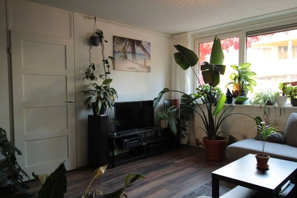 For rent: Flat Slachthuisstraat 222 in Groningen